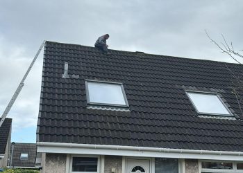 Moss removal